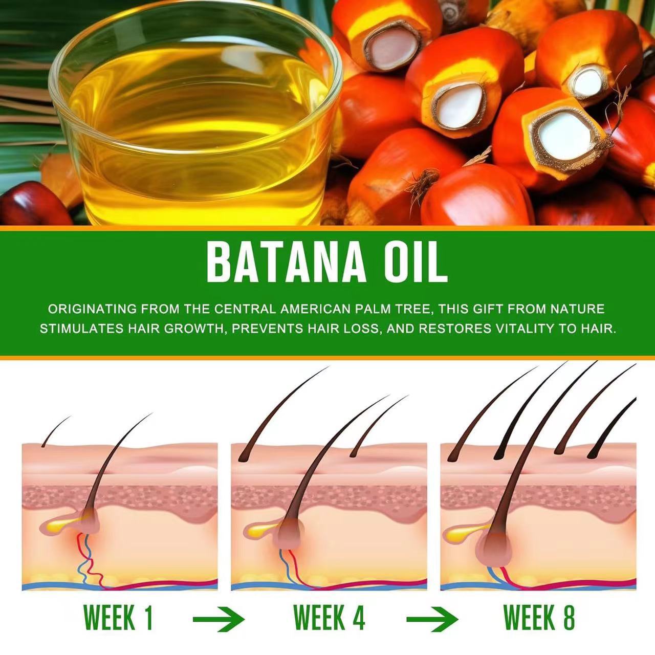 Batana Oil Conditioner For Hai - đánh giá và giá Hair Care Natural Products